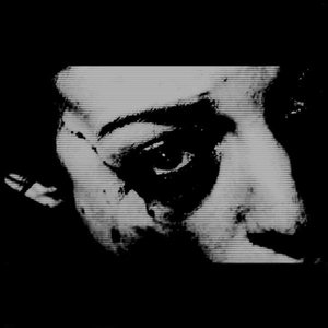 theCOLDTEARS 的头像