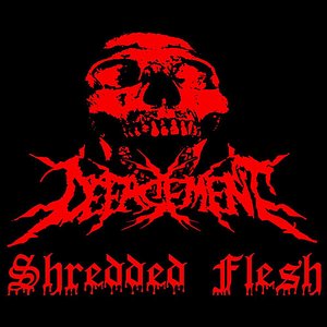 Shredded Flesh