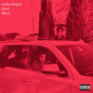 Underdog 2 cover