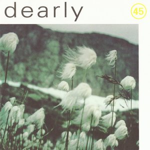 Dearly 的头像