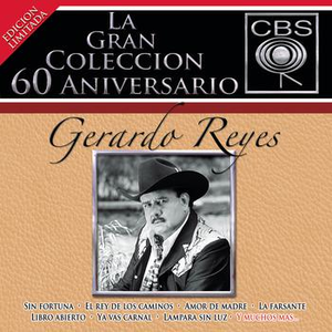 Gerardo Reyes - 30 Éxitos - Zortam Music