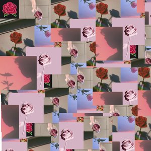 5atisfact!on Guaranteed