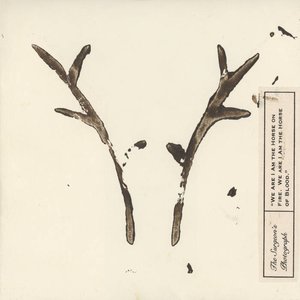 We Are I Am the Horse on Fire. We Are I Am the Horse of Blood. (20th Anniversary)