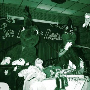 Frog Concert 的头像
