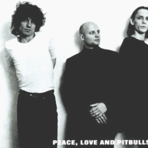Peace, Love & Pitbulls photo provided by Last.fm
