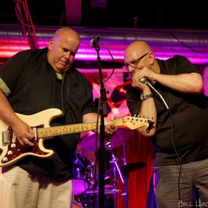 The Little Red Rooster Blues Band 的头像