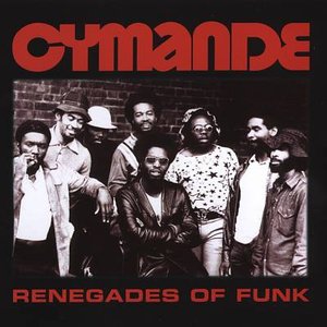Renegades of Funk