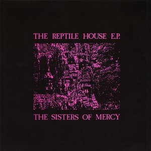 “The Reptile House E.P.”的封面