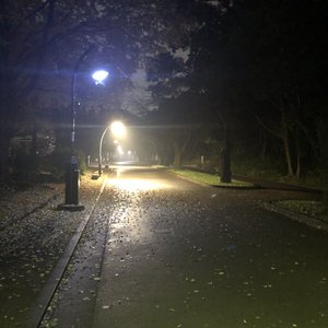 ここに居て
