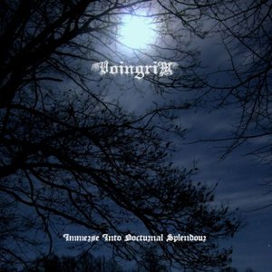 Immerse Into Nocturnal Splendour