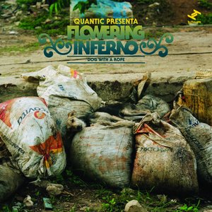 Dog With A Rope (Quantic Presenta Flowering Inferno)