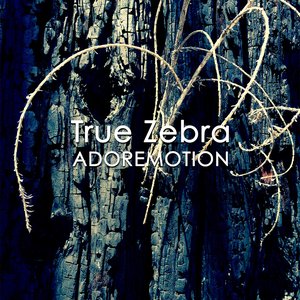 Adoremotion