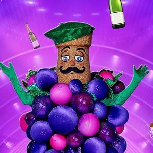 Avatar for The Masked Singer: Druiventros