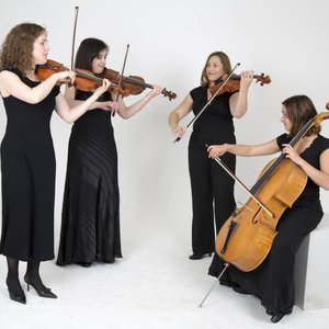 Avatar for Accordi Quartete