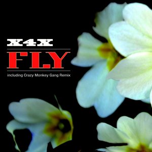 Fly
