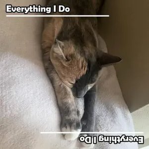 Everything I Do
