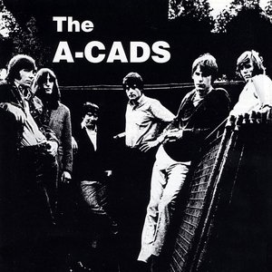 A-cads 的头像