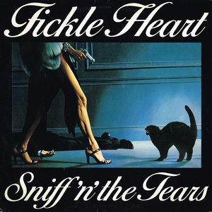 Fickle Heart