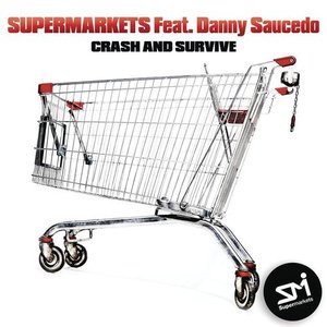 Crash and Survive (Radio Edit) [feat. Danny Saucedo] - Single