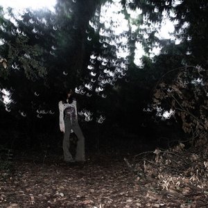 A Curtain in the Woods