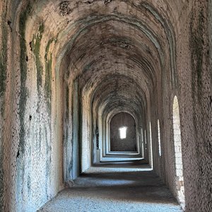 Following a dream - Single