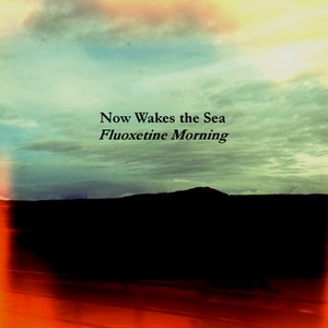 Image for 'Now Wakes the Sea'