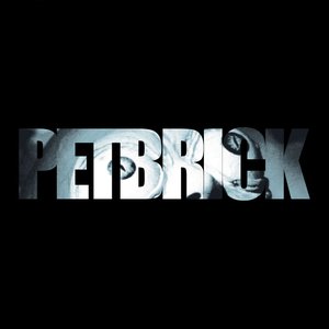 Petbrick