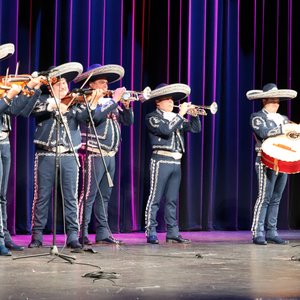 Mariachi Los Camperos için avatar