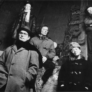 Curlew photo provided by Last.fm