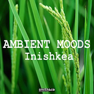 Ambient Moods