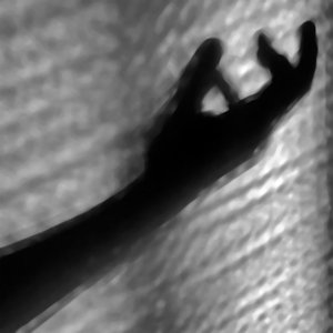 The Waker Dreams