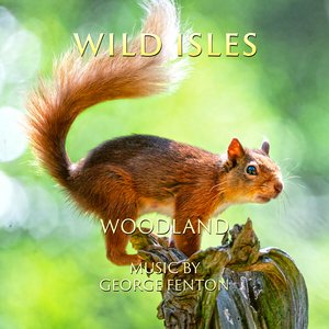 Wild Isles: Woodland (Music from the Original TV Series)