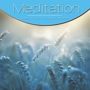 Meditation Vol. Light Blue, Vol. 2