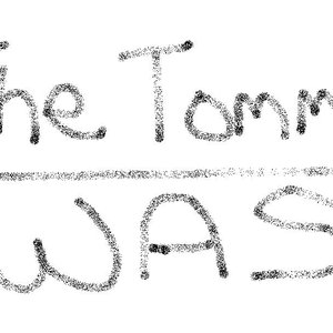 Image for 'The Tommy Was'