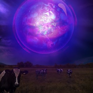 DONT TOUCH MY ORB