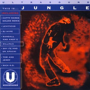 This Is... Jungle