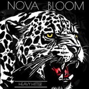Heavy Hitter - Single