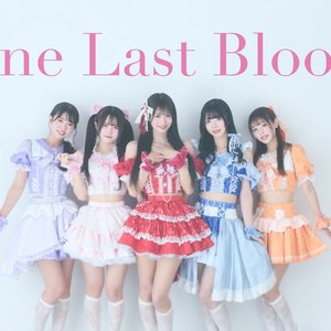 One Last Bloom 的头像