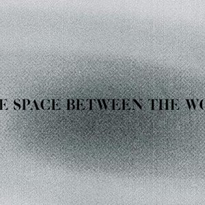 Image for 'The Space Between The Words'