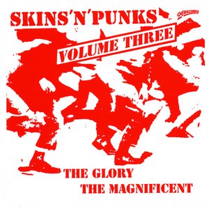 Skins 'n' Punks, Volume 3