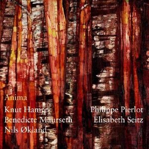 Image for 'Anima'
