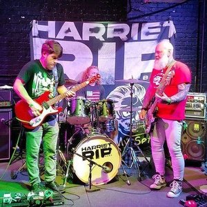 Harriet Rip 的头像