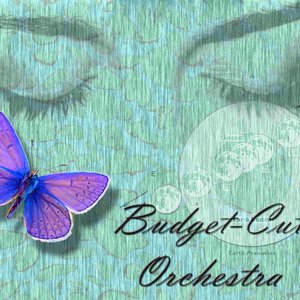 Bild för 'Budget-Cut Orchestra'