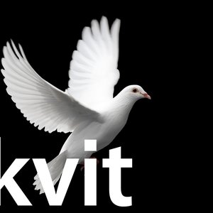 Avatar for Kvit