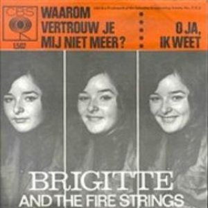 Avatar for Brigitte and the Fire Strings