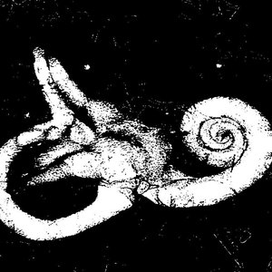 Avatar for N.I.H.L.