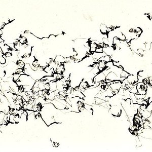 There is No More Firmament