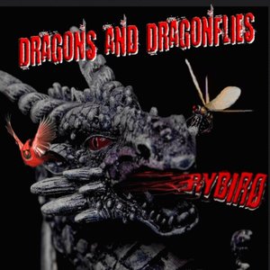 Dragons and Dragonflies