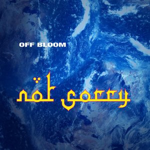 Not Sorry - Single