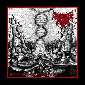 Pillars of the Divine Rift